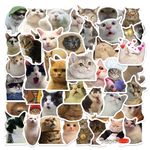 Piedad 50Pcs Cute Cat Stickers, Funny Meme Stickers for Laptop Water Bottle Kinde, Cat Stuff for Cat Lovers, Waterproof Vinyl Stickers for Adult Teens Kids, Cat Supplies