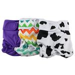 Hisprout 3-Pack Female Dog Diaper Reusable Washable Breathable Durable Doggie Diapers Pants Dog Season Pants(DDFM02)