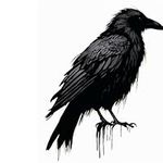 Black Crow Realistic Temporary Tatt