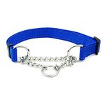 Correction Dog Collar