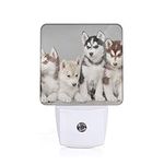 Lovely Husky LED Night Light Plug in Walls Bedroom Night Lights with Dusk to Dawn Photocell Sensor Automatic Brightness Night Lamp for Corridor