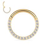 PEAKLINK 16G Gold Hoop Cartilage Daith Helix Tragus Conch Rook Snug Body Piercing Jewelry Earring 6mm