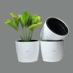 GREENON® 10 Inch Self Water Plant Pot Pack of 3 (6 Pots) | White Outer and Black Inner | UnFadable Flower Pot | Virgin Plastic Gamla | Suitable for Indoor and Balcony