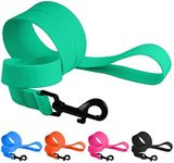 CollarDirect Waterproof Dog Leash Small Medium Large Durable Pet Leashes for Walking Training Running Pink Black Blue Orange Green (L, Mint Green)