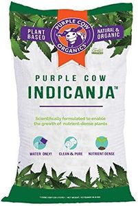 Purple Cow
