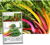 Rainbow Swiss Chard Seeds, 300+ Hei