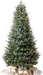 Balsam Hill European Silver Fir - E