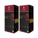 V-Truss Organics Hair Colour | Natural and Healthy Shine | Long Lasting Conditioning Hair Color | Chemical free With No Ammonia, No Bleach & No Peroxides | For Women & Men |150g - Burgundy(Pack of 2)