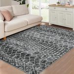 LuxFocus Boho Area Rugs Washable Large Rug for Living Room 200x290 cm Modern Rugs Carpet Foldable Indoor Soft Floor Mats with Low Pile Stain Resistant Area Rug