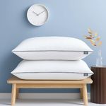 bien LIVING Extra Soft Microfiber Filled Plush Pillow, Down Alternative Hypoallergenic Pillow, 17 x 27 Inches, White (Pack of 2)