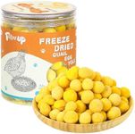 PAWUP Freeze Dried Quail Egg Yolk P