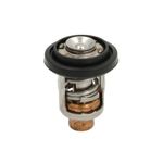 Sierra International 18-3623 Thermostat with Seal