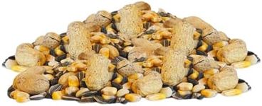 BestNest Critter Snack Seed Mix, 50 lbs.