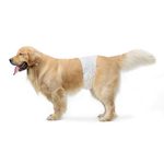 Amazon Basics Male Dog Wrap, Disposable Diapers, Large, Pack of 30, White