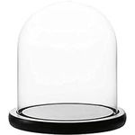 WHOLE HOUSEWARES | Decorative Clear Glass Dome/Tabletop Centerpiece | Cloche Bell Jar Display Dome Case with Black Wooden MDF Base for Candles | 5.7" D X 10.4" H Glass Dome Display