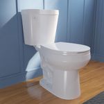 DeerValley Two-Piece Toilets for Bathrooms, ADA Height 17.3" Toilet Bowl With Soft Close Seat, MaP 1000g Single Flush 1.6 GPF Left-Hand Trip Lever Comfort Chair Height 12” Rough in