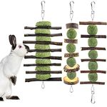 ERKOON 3PCS Bunny Chew Toys, Rabbit Chew Toys for Teeth Grinding, Improve Dental Health, 100% Natural Apple Wood Timothy Grass Cake Treats for Rabbits Bunnies Hamsters Chinchillas Guinea Pigs