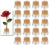 Mini Kenzan Pin Frog 23mm/0.9inch Diameter Floral Ikebana Flower Arranger Holder for Small Vase (20Pcs)