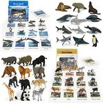 24 Small Animal Figurines Learning & Education Toys, Plastic Realistic Zoo Jungle Safari Sea Ocean Animal Figures, Preschool Learning Activities Matching Game Science Toys