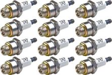 Briggs and Stratton 796112 Pack of 12 Spark Plugs (RJ19LM)