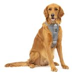 Kurgo, Enhanced Strength Tru-Fit Smart Harness for Dogs, Charcoal, Large