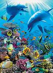 Ravensburger - Underwater Adventure