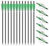 PEIBIAO 12 Pack Carbon Crossbow Bolts 20 Inch 22 Inch Crossbow Arrows and 3 Blades Hunting Broadheads 6 Pack,Hunting Archery Arrows with Moon Nocks and Removable Tips (22inch Green)