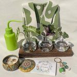 BETTSTATION Gifts for Plant Lovers – Crazy Plant Lady Gift Set with Plants Propagation Station Bulb Shaped Plant Terrariums Unique Plant Gifts for Women for Mother's Plant Gifts Birthday, by Betty