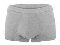 AIRCUTE Washable Absorbent Urinary Incontinence Underwear for Men, Regular Boxer Briefs for Bladder Leaks Prorection, Light or Moderate Leakage 45ML (Large, Gray)