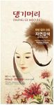 Daeng Gi Meo Ri – Korean Herbal Hair Dye Color Cream [Natural Brown] - PPD-Free Gray Coverage, Hair Protection, High-Keratin Formula, 5 Oz