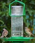 Hp Bird Feeders