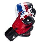 Twins Boxing Muay Thai Training Sparring Gloves (Thailand,12 oz)