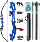 D&Q 51" Archery Takedown Recurve Bow and Arrow Set 30lb/40lb Right Hand Longbow Kit for Adult Beginner Outdoor Training Hunting Shooting(Blue, 40lb)