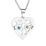 Personalised Silver Heart-Shaped Tree of Life Necklace Zircon Birthstone Pendant for Women/Mum/Grandma Engrave 2-7 Name Customised Necklace for Families/Friends/Girlfriend