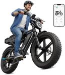 TS TST GRP LLC Electric Bike for Ad