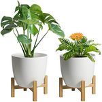 T4U Plant Pots with Stand (2 Pots a