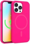 FELONY CASE - iPhone 14 Pro Case, S