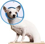 PETBABA Dog Cone Collar in Recovery, Clear Elizabethan Not Block Vision, Soft Padded E-Collar Protect Neck, Suitable Kitten Cat Puppy Pet in Surgery Remedy Grooming - M in Blue