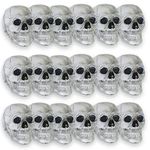 Halloween Mini Skulls Value Pack