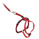 PetSafe Come with me Kitty Harness - Large - Red/Cranberry