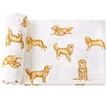 LifeTree Baby Swaddle Blankets Dog, Viscose from Bamboo Cotton Muslin Swaddle Blankets Boys Girls Swaddling Wrap Receiving Blanket Neutral for Newborn, Large 47" x 47", Golden Retriever Dog