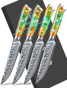 SANMUZUO Steak Knives Set of 4, Ultra Sharp Kitchen Steak Knife 5 Inch - Forged Damascus Steel & Resin Handle - Yao Series