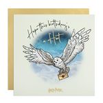 Cardology - Hedwig Harry Potter Birthday Card – Official Wizarding World Gift Merchandise (Hedwig)