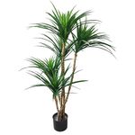 Pure Garden Yucana Tree, 51-Inch