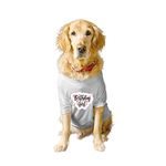 Ruse Basic Crew Neck Birthday Girl Printed Half Sleeves/Apparel/Clothes/T-Shirt Gift for Dogs.Colour-White/Medium (Chubby Pugs, Beagle etc.)