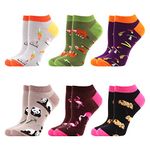 WeciBor Women's Funny Novelty Colorful Cute Low Cut Ankle Cotton Socks Pack