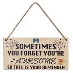 Birthday Gifts for Her Thank You Gifts Birthday Gifts for Women You Are Awesome Wooden Hanging Friendship Plaque Gift for Women Best Friends Sentimental Inspirational Gift for Cheer Up Women