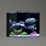 LANDN 35C 10 Gallon Ultra Clear All