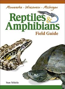 Reptiles &