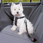 Trixie: - Car Harness | Prevents The Pet from Moving Around in The Vehicle | Adjustable Strap to Suit The Length According to Your Comfort | Can Also be Used for Daily Walk - Black 30–60cm/20mm Small